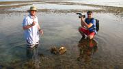  WA Museum`s Mollusc Technical Officer, Corey Whisson being interviewed while surveying an intertidal site at Long Reef